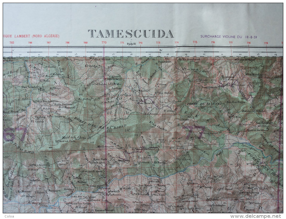 Algérie Carte Topographique TAMESCUIDA 1/50.000° 1957 - Cartes Topographiques
