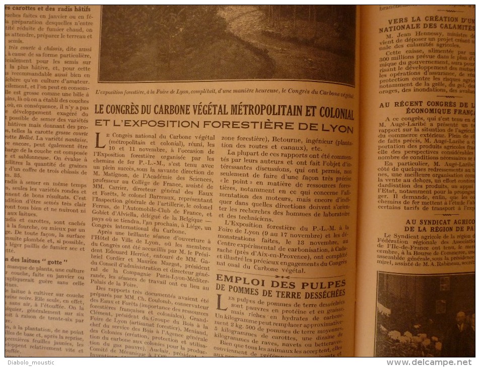 1930 L´AGRICULTURE NOUVELLE : Les CYGNES utiles à l'assainissement; Taille des vignes; Congrès du CARBONE
