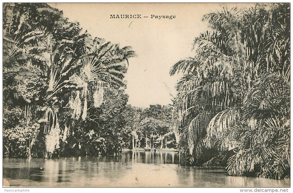 Ile Maurice : Paysage - Maurice