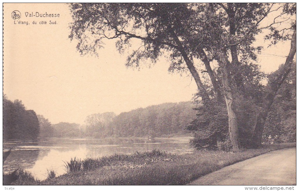 Auderghem.  -   Le Château Et Le Parc De:   VAL-DUCHESSE   à   Auderghem.  L´ étang Du Côté Sud - Oudergem - Auderghem