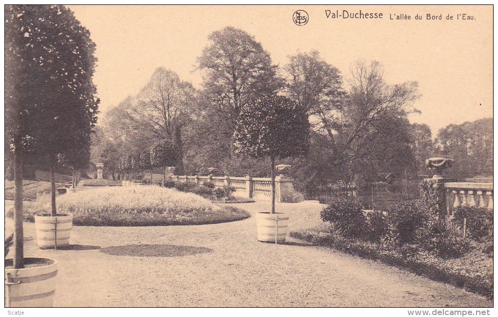 Auderghem.  -   Le Château Et Le Parc De:   VAL-DUCHESSE   à   Auderghem.  L´allée Du Bord De L´Eau - Oudergem - Auderghem