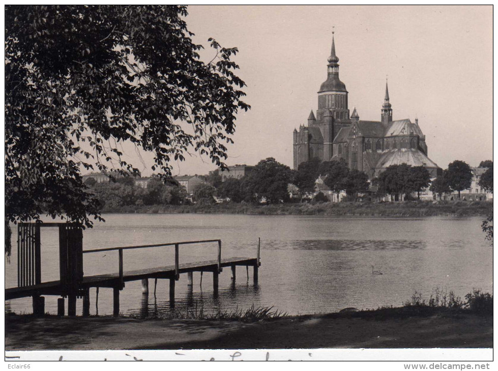 Eglise Saint-Nicolas (Stralsund)  Photo Sur Carton  Original   DIMENSION   Photo13,50cmX9,50cm  Carton13,50cmX18cm (N°5) - Stralsund