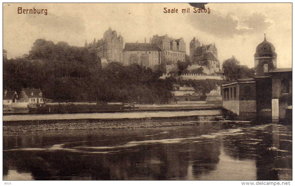 AK Bernburg An Der Saale -Saale Mit Schloß - Bernburg (Saale)