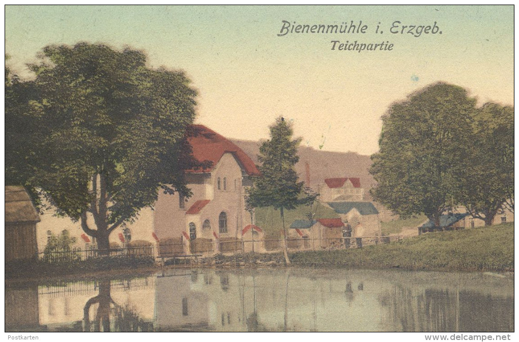 ALTE POSTKARTE RECHENBERG-BIENENMÜHLE TEICHPARTIE 1908 ERZGEBIRGE TEICH SACHSEN An Doerenkamp Postcard AK Ansichtskarte - Rechenberg-Bienenmühle