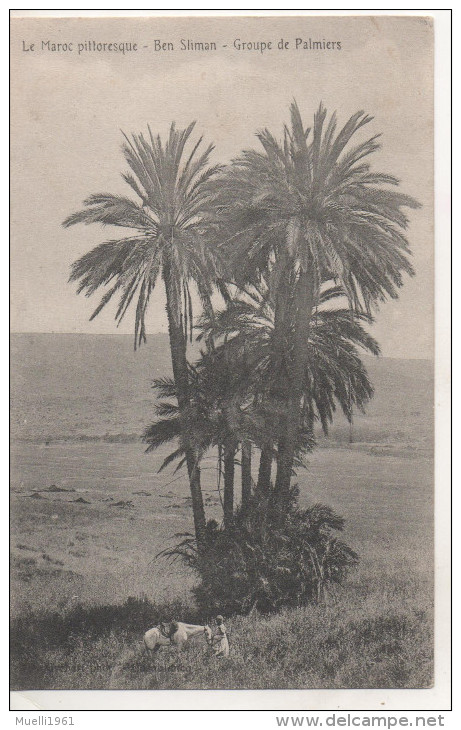 Nr.  1958,  AK  Ben  Sliman,  Casablanca - Casablanca