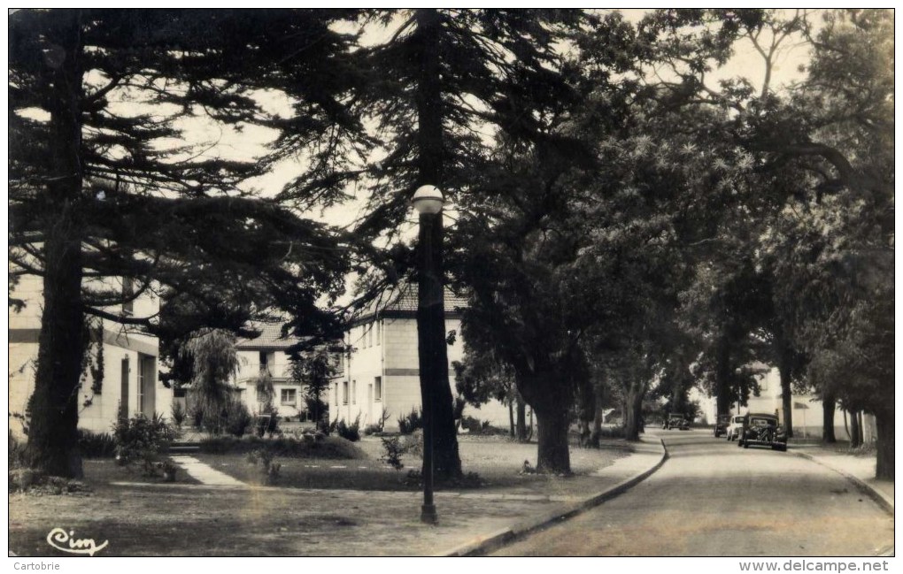 78 - LA CELLE-SAINT-CLOUD - Le Domaine Saint-François - Automobile Citroën Traction AV - CPSM - La Celle Saint Cloud