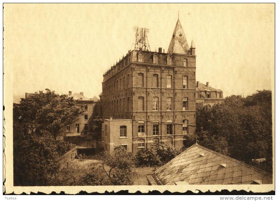 Binche  - Collège Patronné De N.D. De Bon Secours - Le Collège, Vue Ouest - Binche