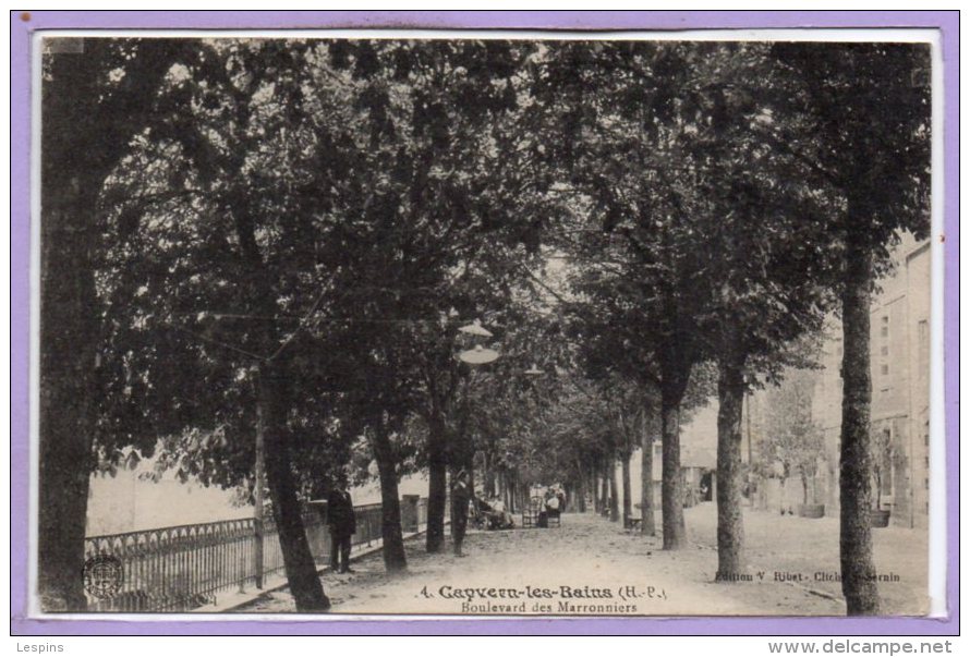 65 - CAPVERN -- Boulevard Des Marronniers - Other & Unclassified