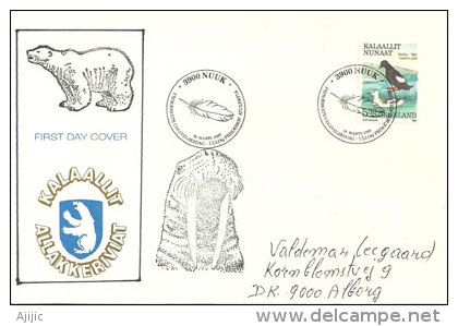 Faune Polaire (Guillemot à Miroir) Du Groenland. Belle Lettre Adressée Au Danemark - Faune Arctique