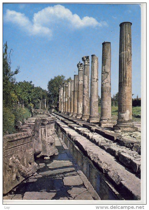 AQUILEIA - Udine, Foro Romano    1968 - Udine