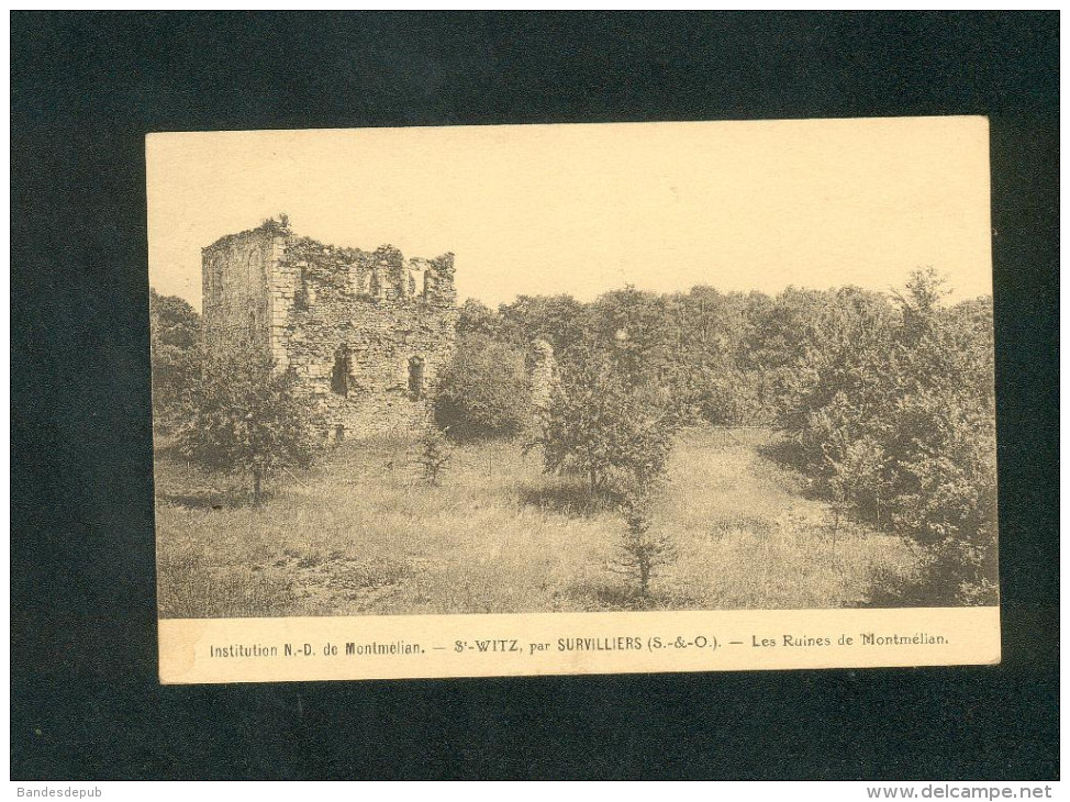 St Saint Witz - Institution Notre Dame De Montmelian - Ruines De Montmelian (Tourte Et Petitin) - Saint-Witz