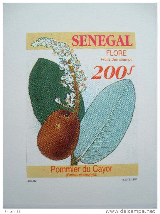 SENEGAL 1992  Nr 1013/1016 In 4 LUXE PROOFS / FLORA FRUITS / Epreuves De Luxe - Senegal (1960-...)