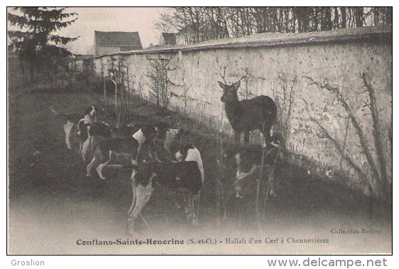 CONFLANS SAINTE HONORINE  (S ET O)  HALLALI D'UN CERF  A CHENNEVIERES - Conflans Saint Honorine