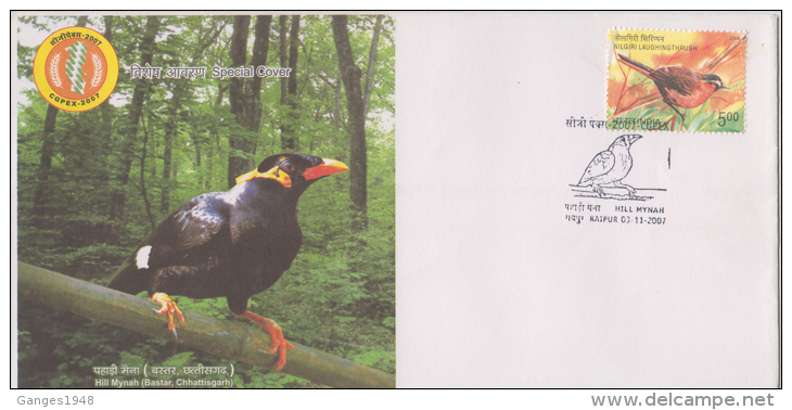 India  2007  Hill Mynah  Song Birds Bastar ,  Raipur  Special Cover # 83524  Inde Indien - Songbirds & Tree Dwellers