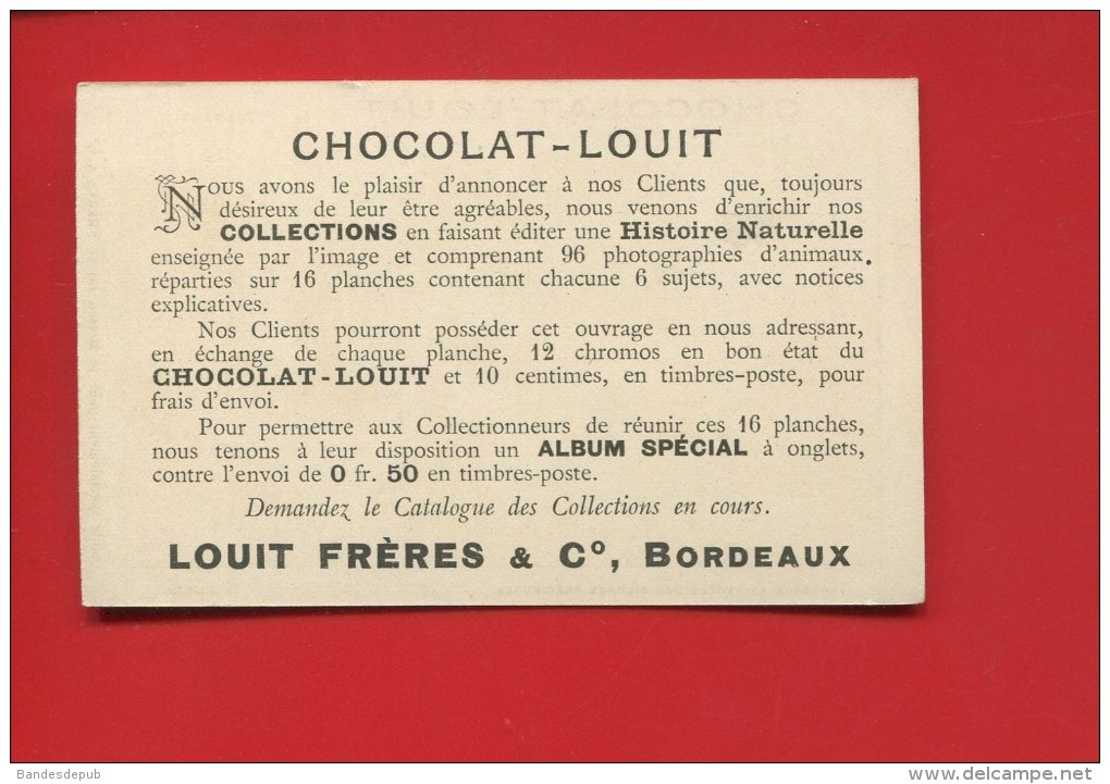 CHOCOLAT LOUIT CHROMO LANGAGE PIERRES PRECIEUSES PIERRE PRECIEUSE BIJOUX CORAIL ROUGE AVEUGLE VUE ORGUE BARBARIE JOURNAL - Louit