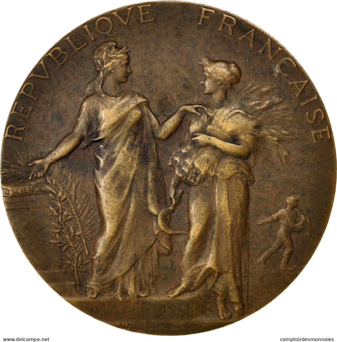 France, Medal, French Third Republic, Business & Industry, 1907, Dubois.A, TTB+ - Autres & Non Classés