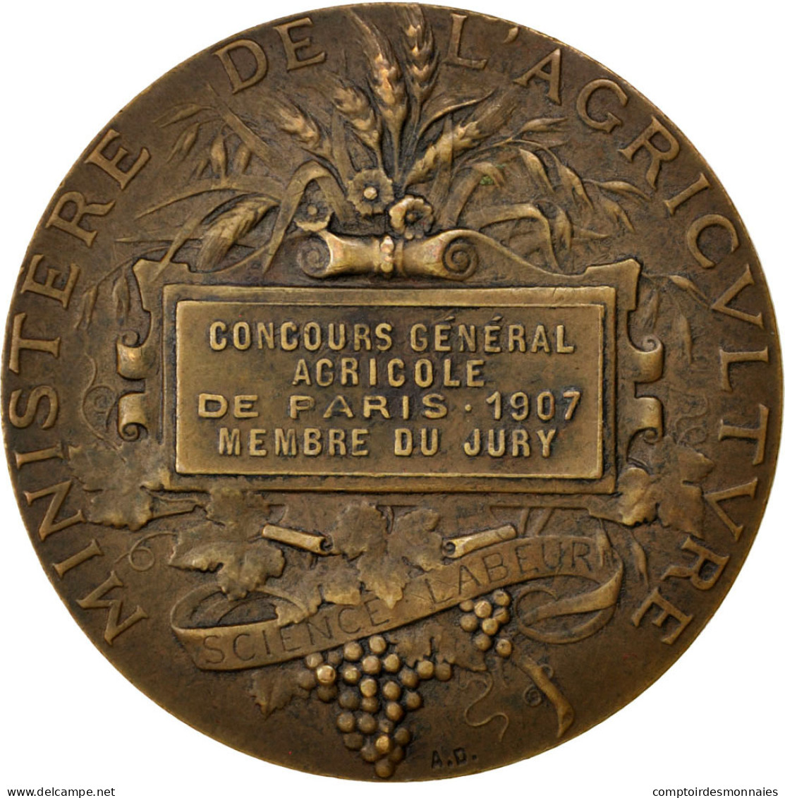France, Medal, French Third Republic, Business & Industry, 1907, Dubois.A, TTB+ - Autres & Non Classés