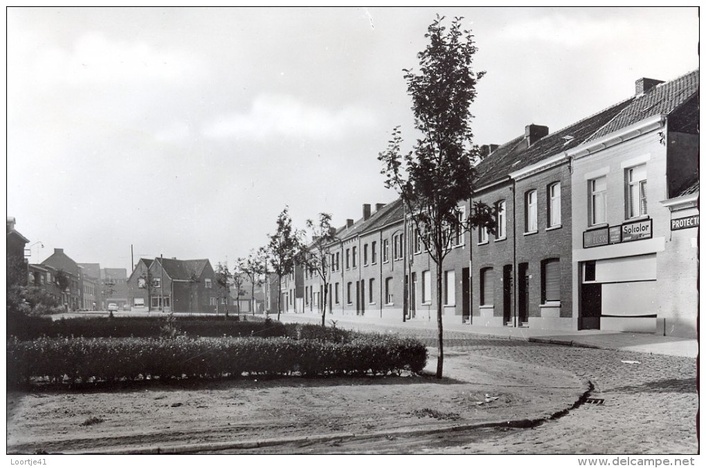 PK - Boom - Pastorijstraat Met Plein - Boom