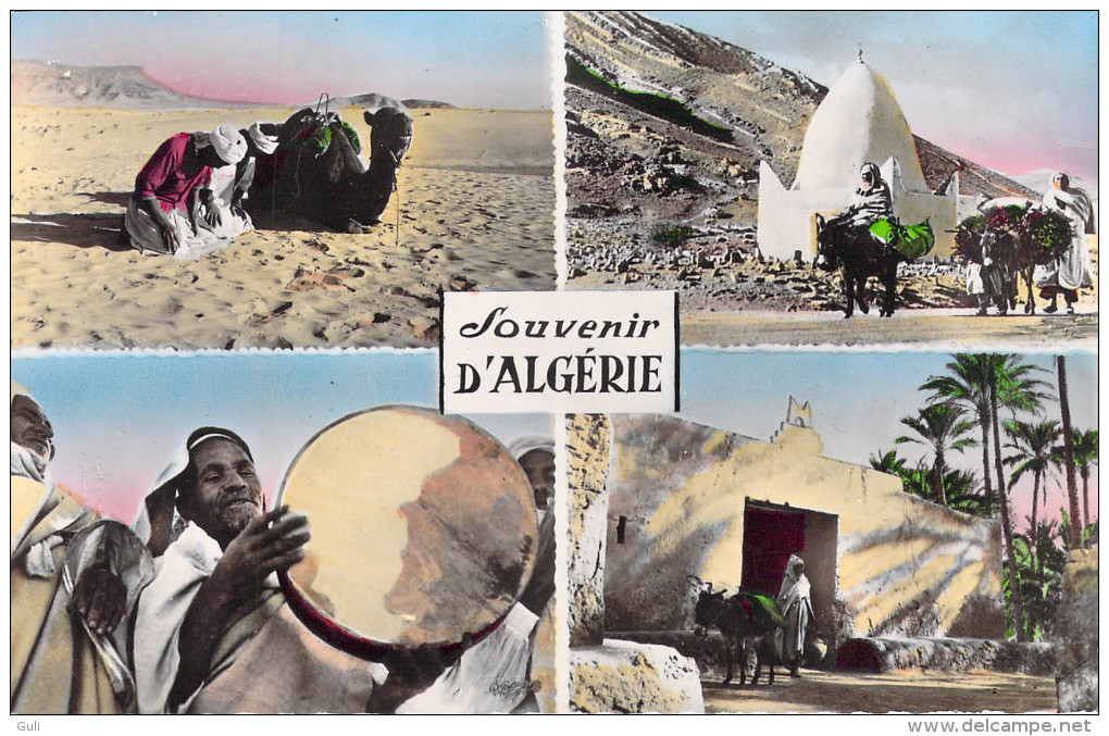 AFRIQUE Algérie -Souvenir D'ALGERIE Multi Vues - * PRIX FIXE - Andere & Zonder Classificatie