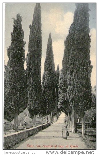 VIALE CON CIPRESSI AL LAGO DI GARDA - POSTED FROM LIDO PALACE HOTEL RIVA - LAKE GARDA - AUSTRIA -  AUSTRIAN STAMP 1910 - Other & Unclassified
