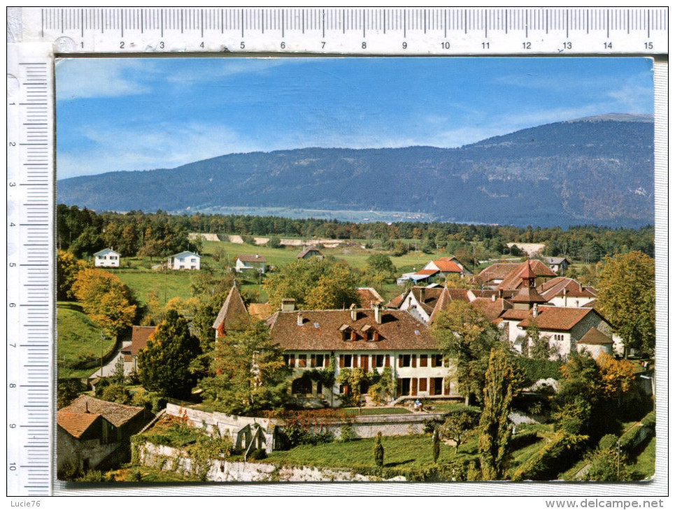 Château De   MONTCHERAND -  Home D Accueil - Montcherand