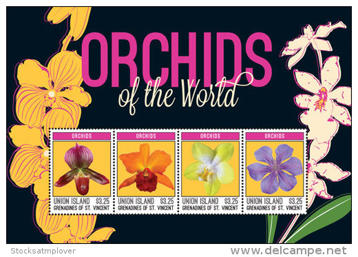 Union Islands Grenadines Of St. Vincent-2014-Orchids - St.Vincent & Grenadines