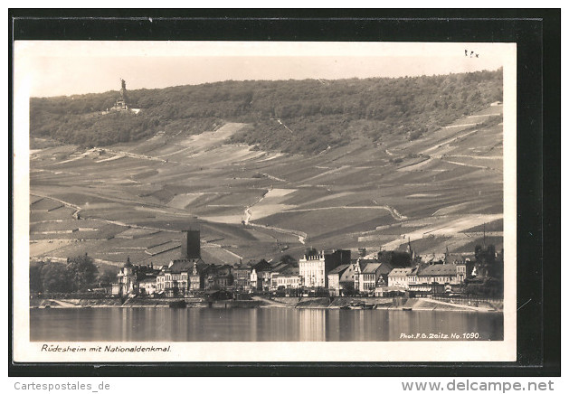 AK Rüdesheim Am Rhein, Panorama Mit Nationaldenkmal - Ruedesheim A. Rh.