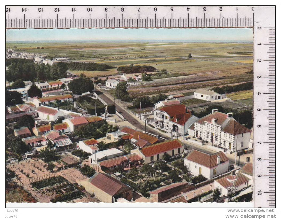 ILE DE NOIRMOUTIER - BARBATRE -  La Mairie - En Avion Au Dessus De ....   -  N° 7 K - Ile De Noirmoutier