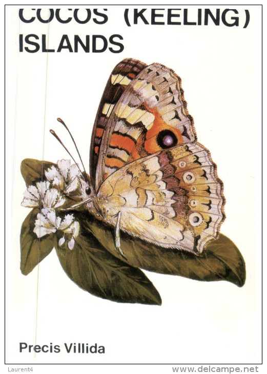 (336) Australian - Cocos Island Butterfly - Isole Cocos (Keeling)