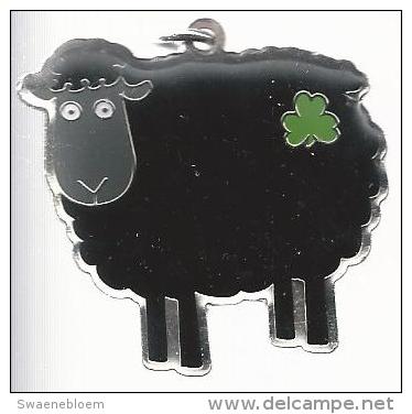 NL.- Sleutelhanger. The Black Sheep. Irish Collection. Keyring. 2 Scans - Llaveros