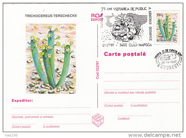 CACTUSSES, PC STATIONERY, ENTIER POSTAL, OBLIT FDC, 5X, 1997, ROMANIA - Cactussen