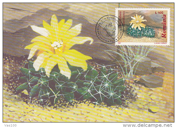 CACTUSSES, CM, MAXICARD, CARTES MAXIMUM, OBLIT FDC, 6X, 1997, ROMANIA - Sukkulenten