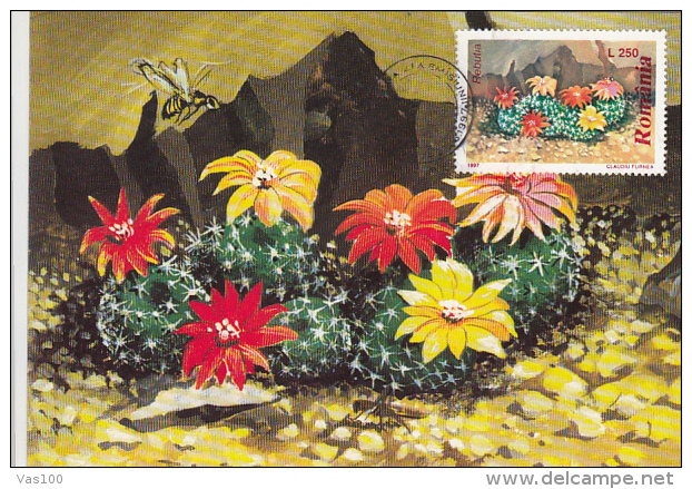 CACTUSSES, CM, MAXICARD, CARTES MAXIMUM, OBLIT FDC, 6X, 1997, ROMANIA - Sukkulenten