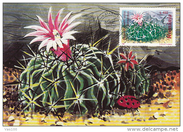 CACTUSSES, CM, MAXICARD, CARTES MAXIMUM, OBLIT FDC, 6X, 1997, ROMANIA - Sukkulenten