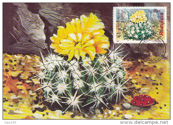 CACTUSSES, CM, MAXICARD, CARTES MAXIMUM, OBLIT FDC, 6X, 1997, ROMANIA - Sukkulenten