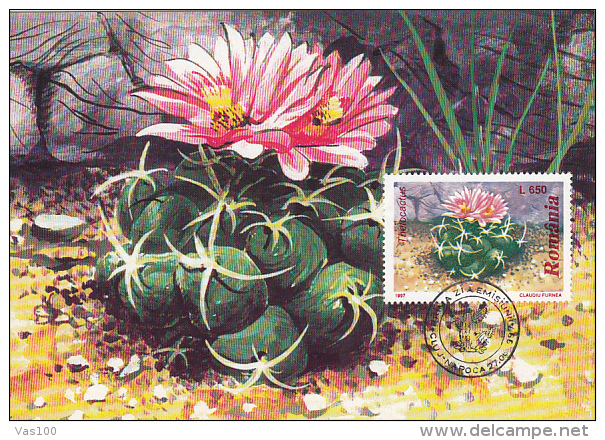 CACTUSSES, CM, MAXICARD, CARTES MAXIMUM, OBLIT FDC, 6X, 1997, ROMANIA - Sukkulenten