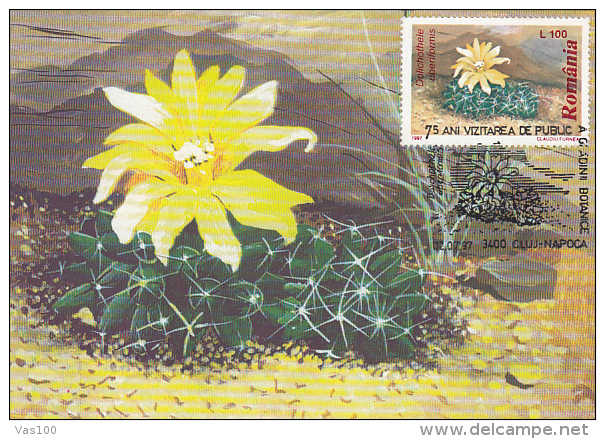 CACTUSSES, CM, MAXICARD, CARTES MAXIMUM, 6X, 1997, ROMANIA - Sukkulenten