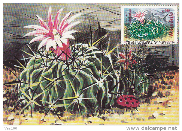 CACTUSSES, CM, MAXICARD, CARTES MAXIMUM, 6X, 1997, ROMANIA - Sukkulenten