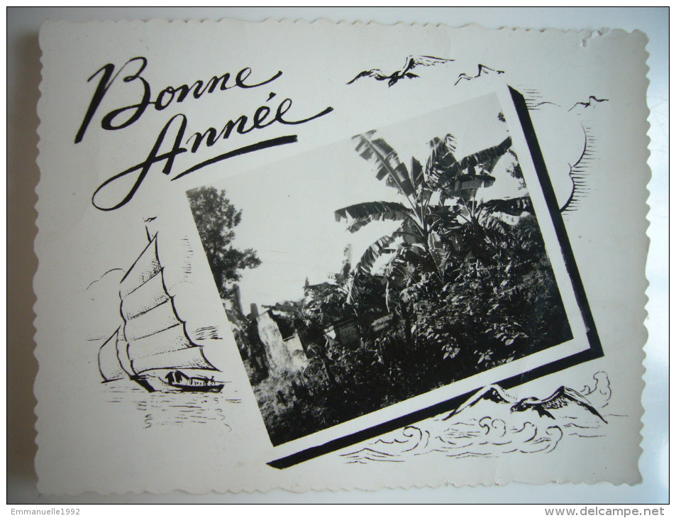 Photo Vietnam Indochine Cochinchine Annam Tonkin - Bonne Année 1949 - 1950 - Paysage Palmiers Cocoiers Bananiers - Anciennes (Av. 1900)