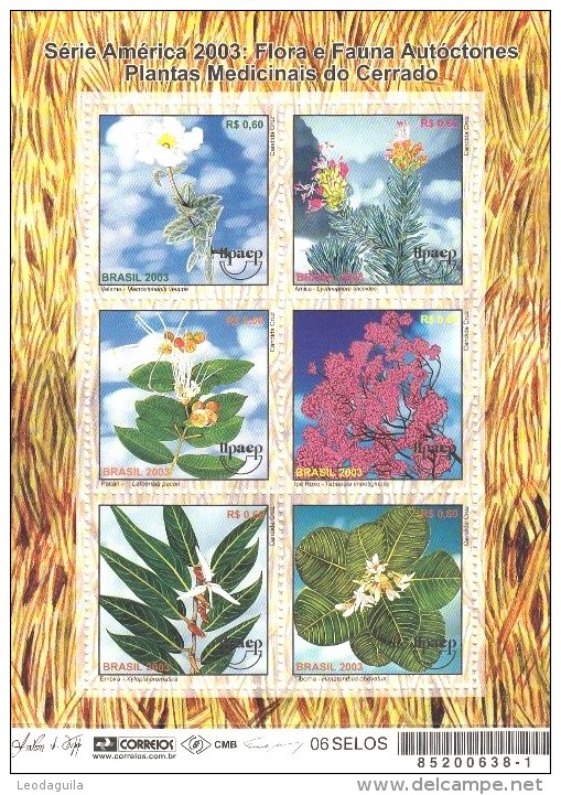 BRAZIL #2883  -  MEDICINAL PLANTS -  S/S 6v  -   MINT - Ungebraucht