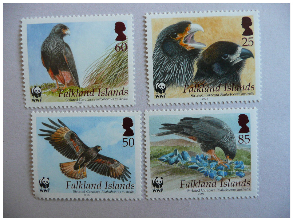 WWF Falkland  Caracara Bird 2006 4v  Set MNH** - Neufs