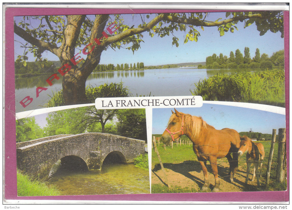 LA FRANCHE-COMTE - Franche-Comté