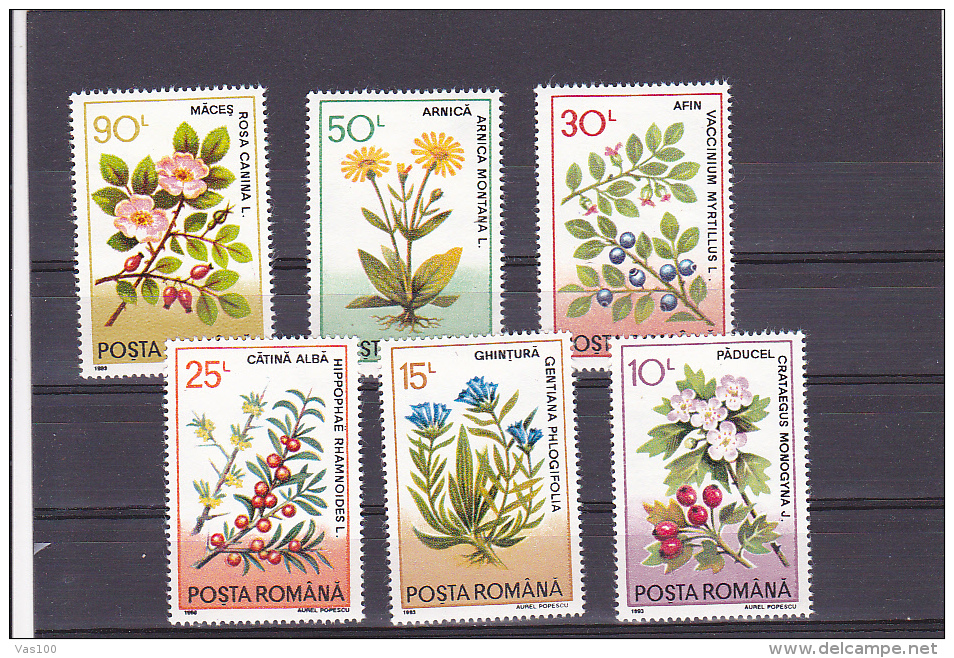 MEDICINAL PLANTS, MI 4866/71, MNH**,  FULL SET OF 6, 1993, ROMANIA - Nuovi