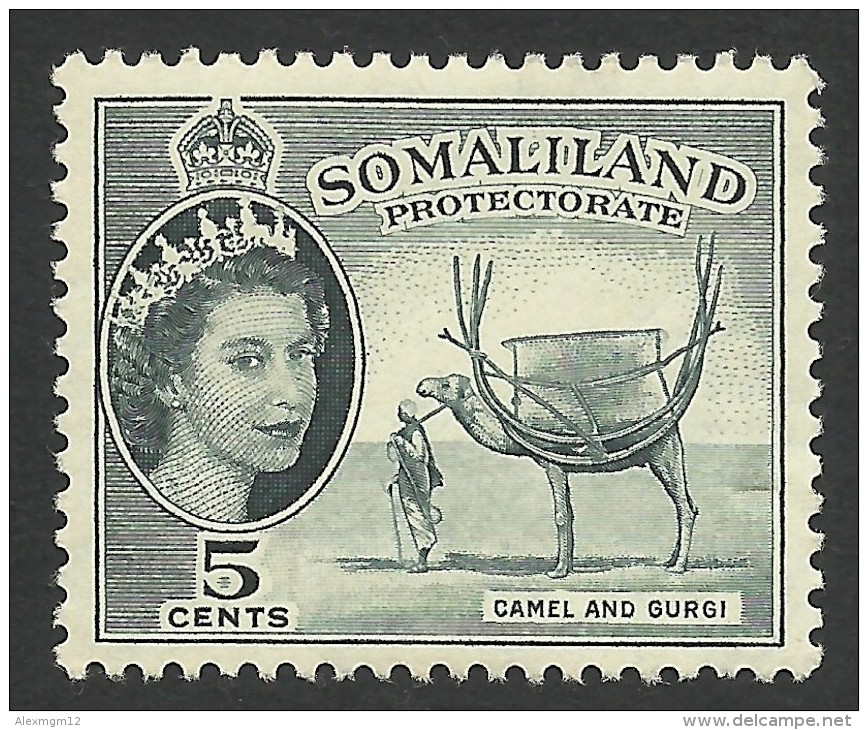 Somaliland Protectorate, 5 C. 1953, Sc # 128, MH - Somaliland (Protectorate ...-1959)