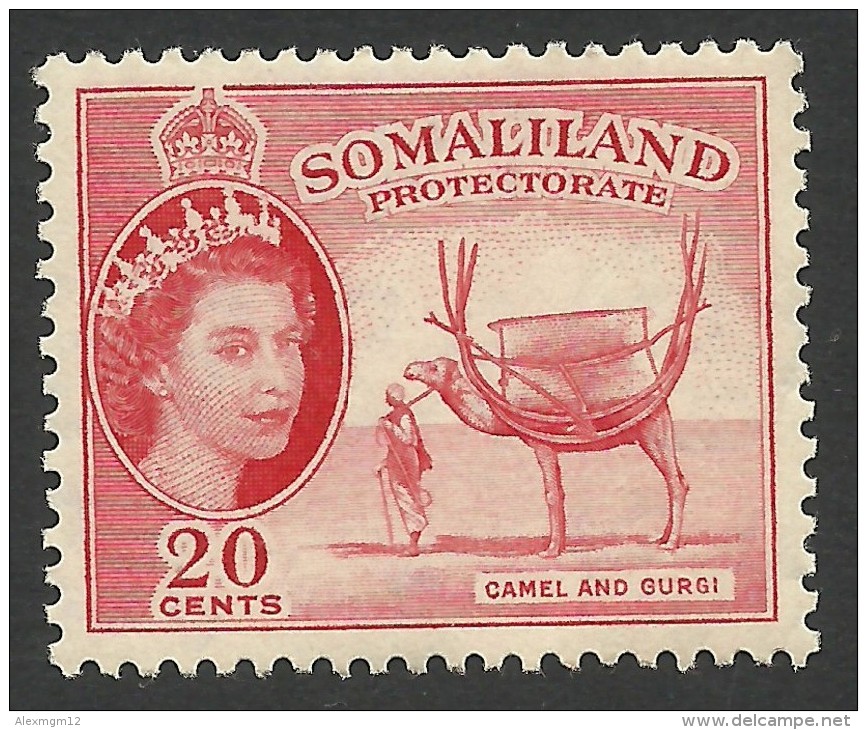 Somaliland Protectorate, 20 C. 1953, Sc # 131, MH - Somalilandia (Protectorado ...-1959)