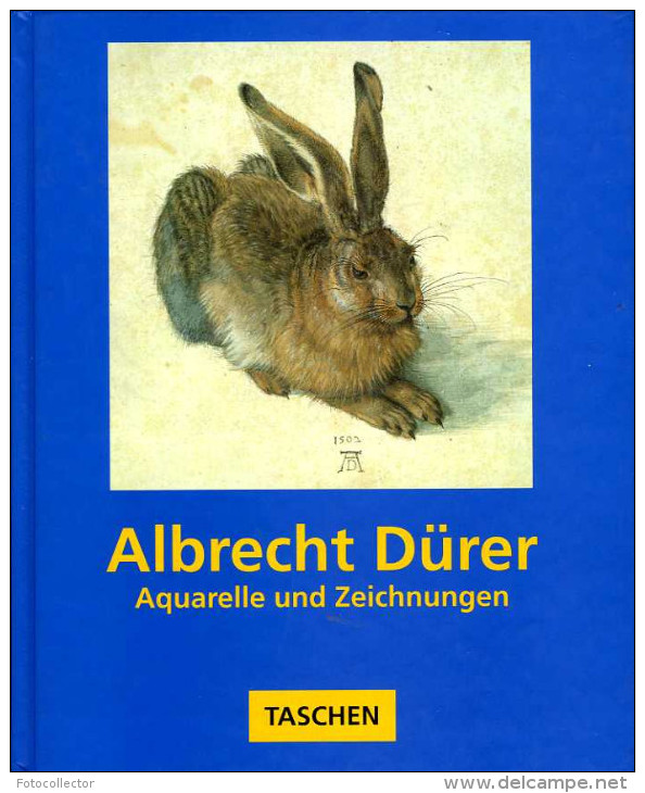 Peinture : Albrecht Durer Aquarelle Und Zeichnungen (ISBN 3822896209) (EAN 9783822896204) - Malerei & Skulptur