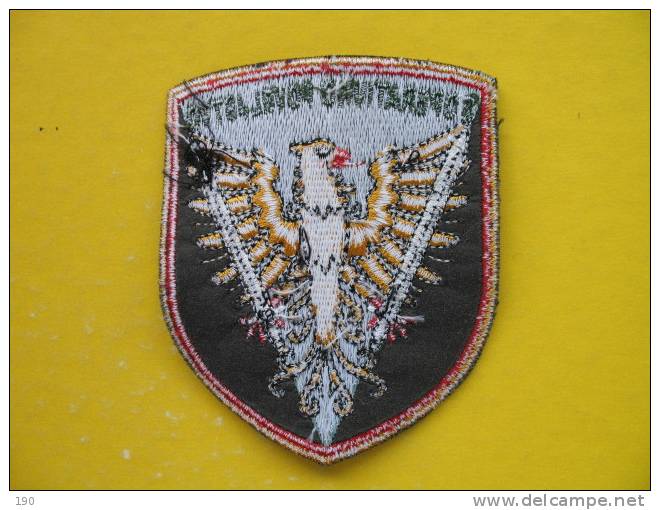 2 OPERATIVNO POVELJSTVO; SLOVENSKA VOJSKA NASITEK-PATCH - Patches