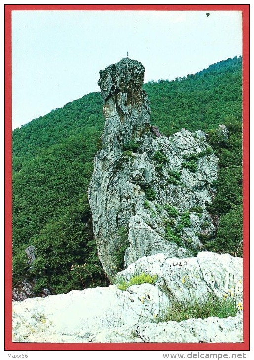 CARTOLINA NV ITALIA -  VIOLA (CN) Mt. 830 - Rocca Dei Corvi - 10 X 15 - Cuneo