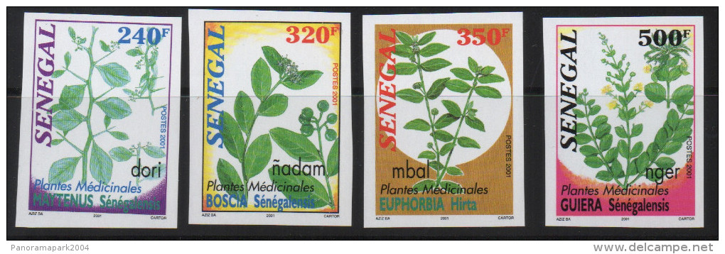 Sénégal 2001 IMPERF NON DENTELES Plantes Médicinales Medicinal Plants Heilpflanzen Flora Flore Mi. 1934-1937 - Ete 2000: Sydney