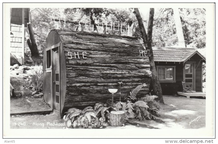 Redwood Highway California, Restroom In Giant Log, Toilets, C1940s Vintage Real Photo Postcard - American Roadside